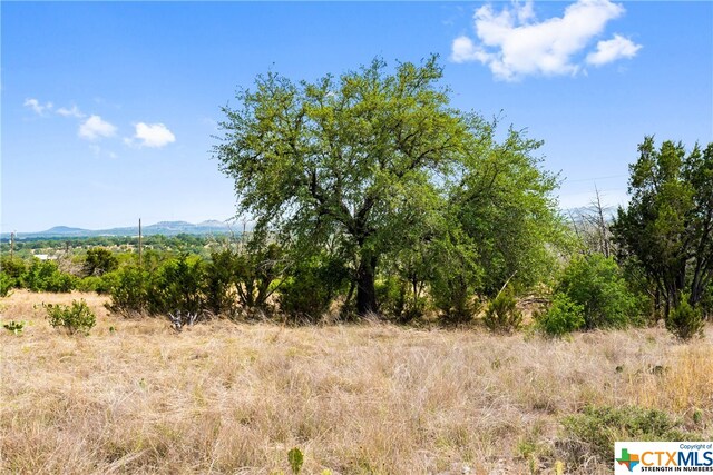 650 One River Point Dr, Johnson City, TX 78636 - photo 8