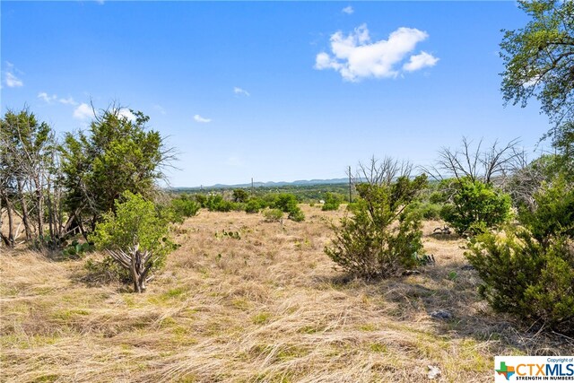 650 One River Point Dr, Johnson City, TX 78636 - photo 7