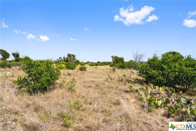 650 One River Point Dr, Johnson City, TX 78636 - photo 16