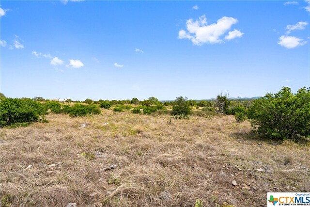 650 One River Point Dr, Johnson City, TX 78636 - photo 21