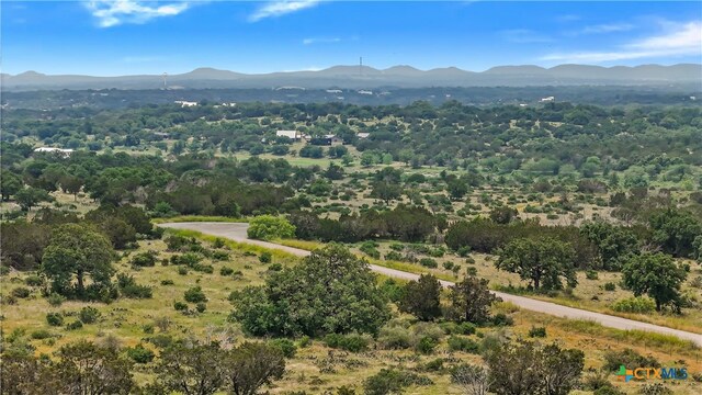 650 One River Point Dr, Johnson City, TX 78636 - photo 3