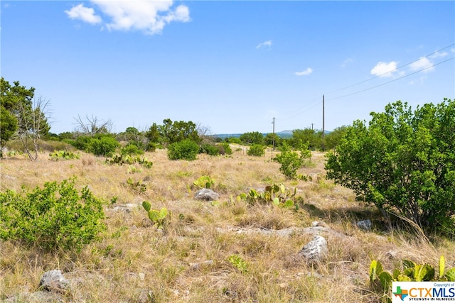 650 One River Point Dr, Johnson City, TX 78636 - photo 17