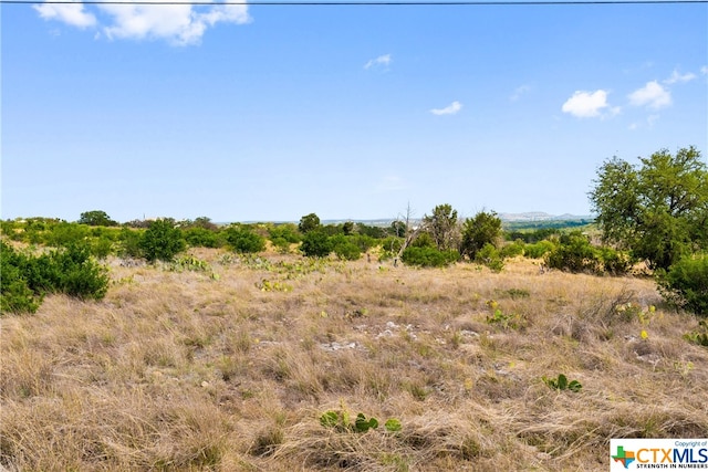650 One River Point Dr, Johnson City, TX 78636 - photo 11