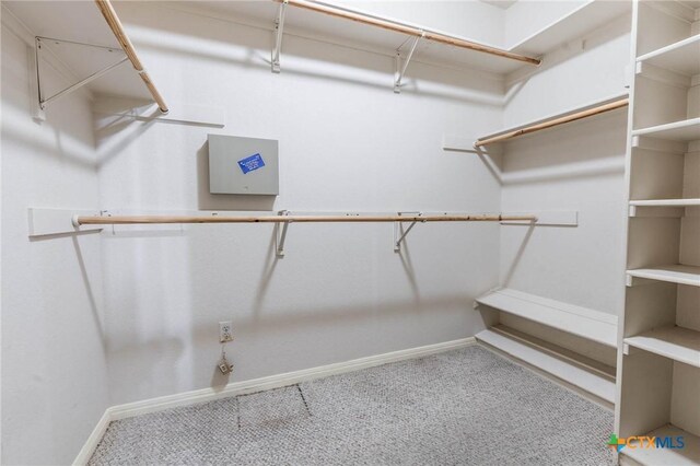 spacious closet featuring carpet