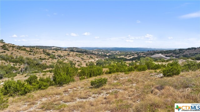 LOT120 Falling Oak Dr, Blanco TX, 78606 land for sale