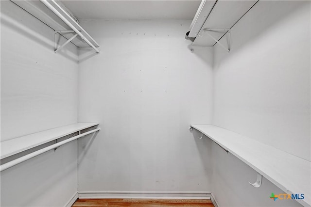 walk in closet featuring wood finished floors