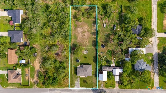 505 Olive St, Jourdanton, TX 78026 - photo 8
