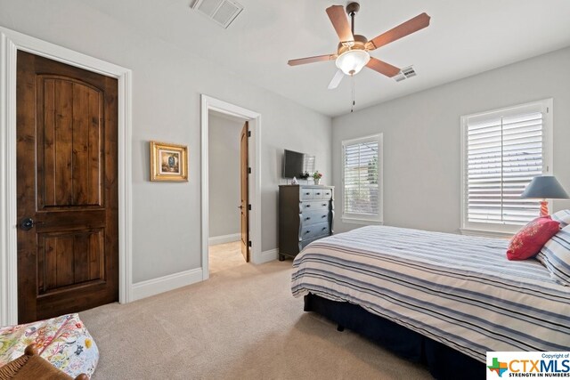 538 Oak Shores Dr, Canyon Lake, TX 78133 - photo 36