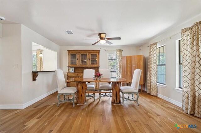 660 Possum Tree, Fischer, TX 78623 - photo 9