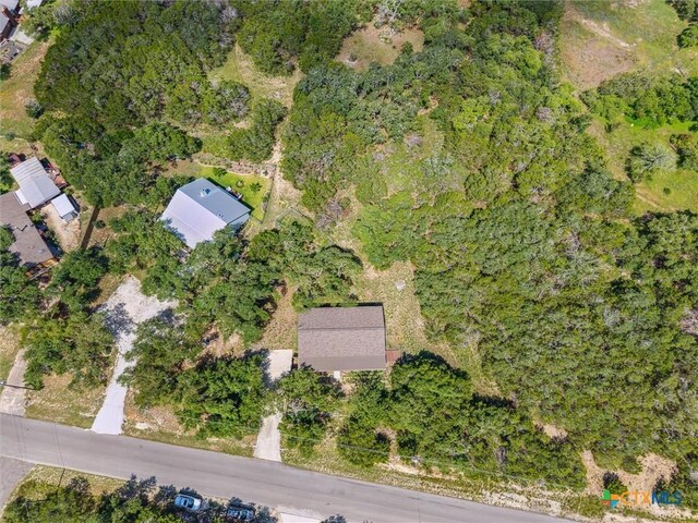 660 Possum Tree, Fischer, TX 78623 - photo 31