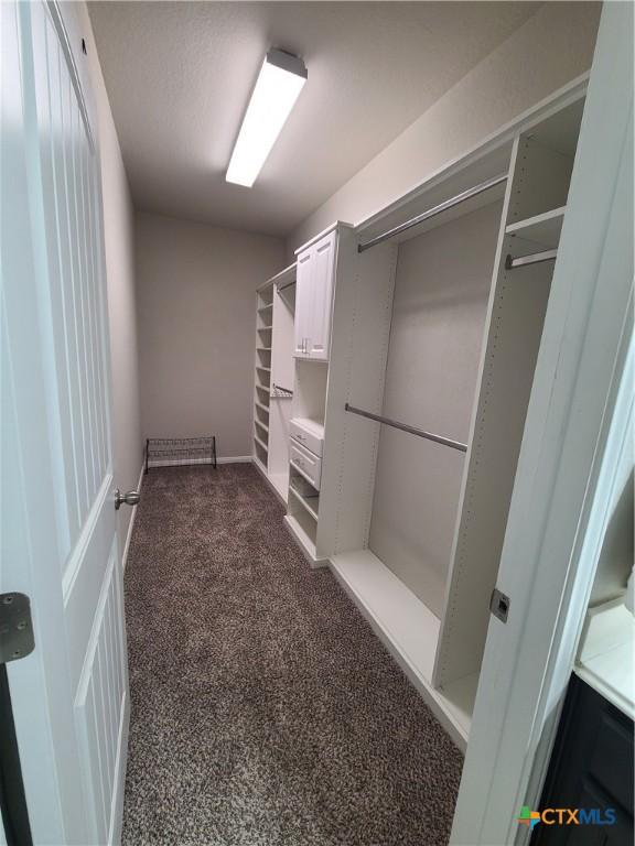 spacious closet with dark colored carpet