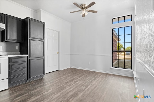 kitchen featuring white range oven, ceiling fan, dark wood-type flooring, and ornamental molding