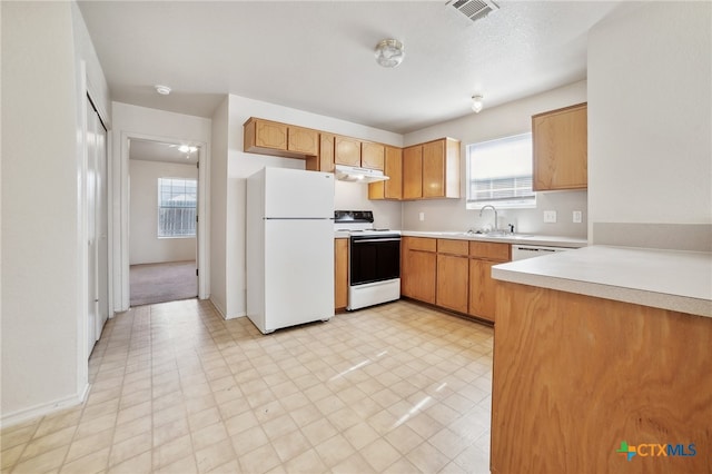 kitchen with white appliances, plenty of natural light, and sink