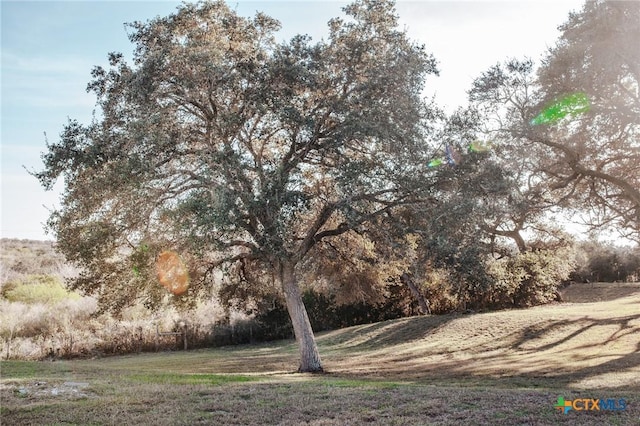 194 Panorama Ln, Victoria, TX 77905 - view of undeveloped land