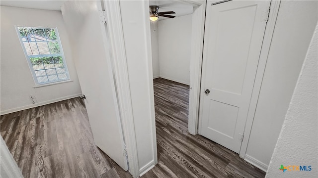 hall featuring dark wood-type flooring