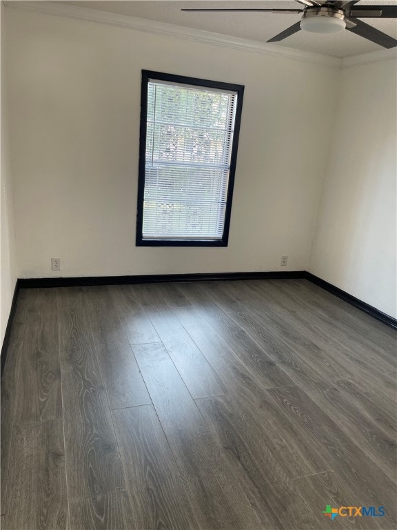 unfurnished room featuring dark hardwood / wood-style flooring, ceiling fan, and ornamental molding