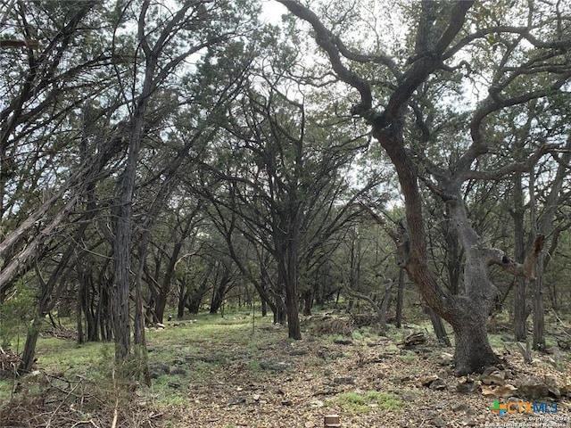 4224 Wegner Rd, New Braunfels, TX 78132