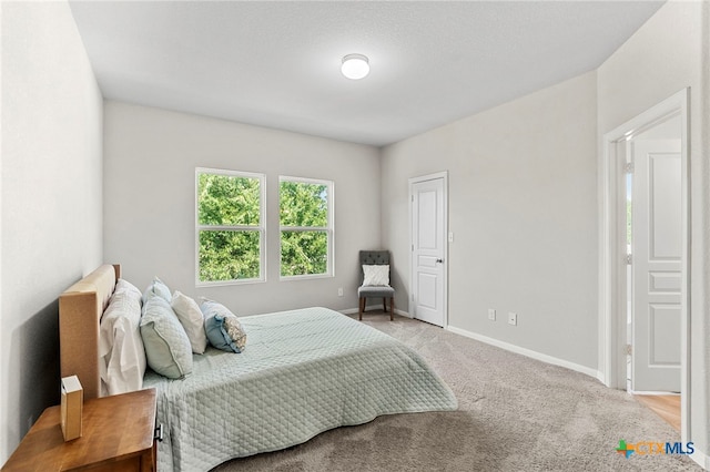 480 Waterloo Dr, Kyle, TX 78640 - bedroom with baseboards and light carpet