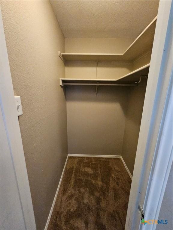 walk in closet featuring carpet flooring