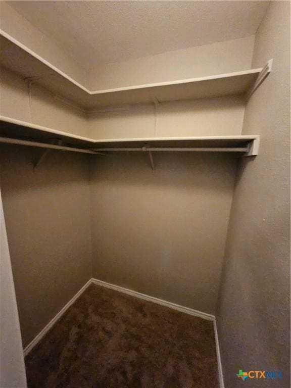 spacious closet featuring dark colored carpet