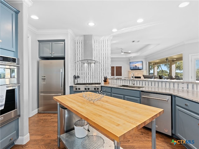 kitchen featuring sink, dark wood-type flooring, wall chimney range hood, crown molding, and appliances with stainless steel finishes