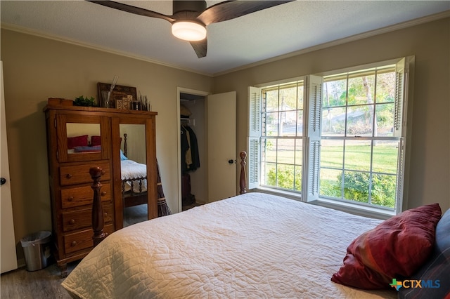 bedroom featuring ornamental molding, multiple windows, and ceiling fan