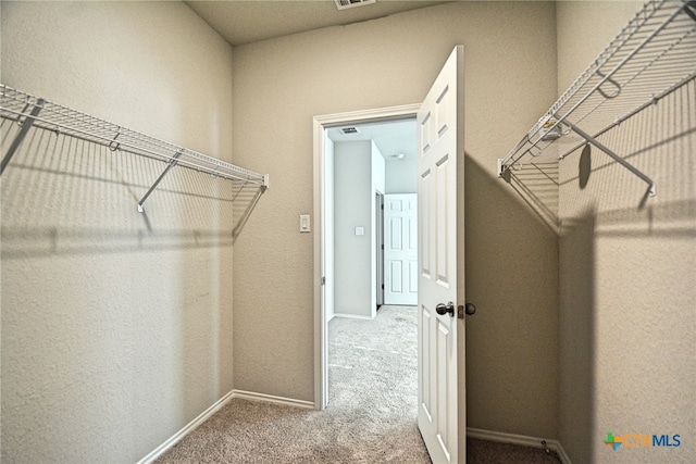 475 Autumn Leaf Dr, New Braunfels, TX 78130 - spacious closet featuring carpet