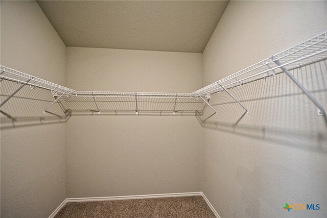 475 Autumn Leaf Dr, New Braunfels, TX 78130 - spacious closet with carpet floors
