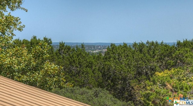 1720 Whispering Hills Dr, Canyon Lake, TX 78133 - photo 35