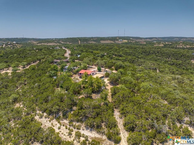 1720 Whispering Hills Dr, Canyon Lake, TX 78133 - photo 14