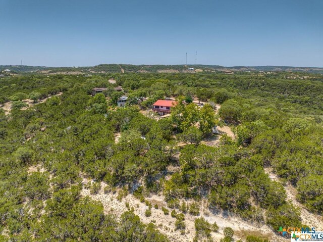 1720 Whispering Hills Dr, Canyon Lake, TX 78133 - photo 12