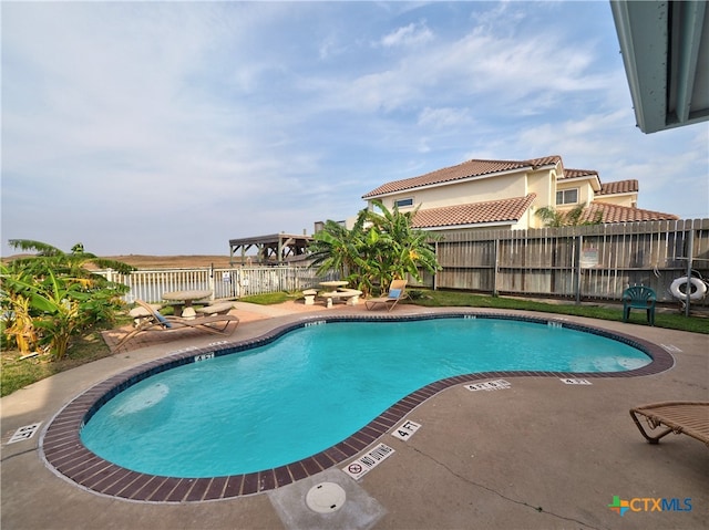 view of pool featuring a patio