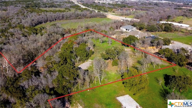 Listing photo 3 for 540 Kinsolving Rd, Belton TX 76513