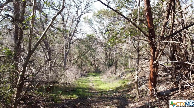 540 Kinsolving Rd, Belton, TX 76513 - photo 13