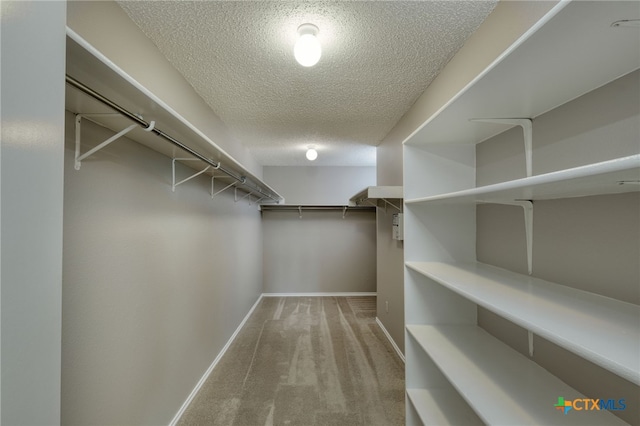 1335 Lakeside Loop, Round Rock, TX 78665 - spacious closet featuring carpet flooring
