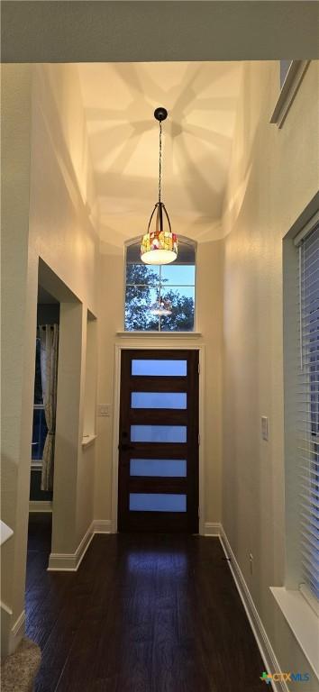 1123 Sundrop Pl, Round Rock, TX 78665 - entryway featuring dark wood-style floors, baseboards, and a towering ceiling