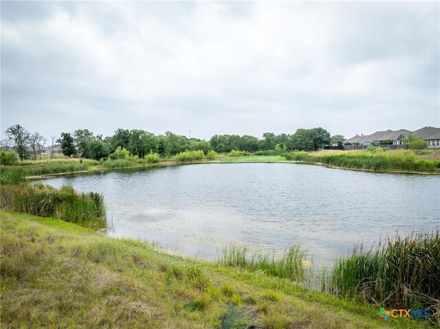 1011 Kinzig Dr, New Braunfels, TX 78130 - photo 45