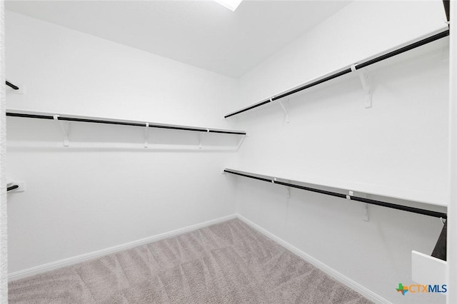 walk in closet with carpet