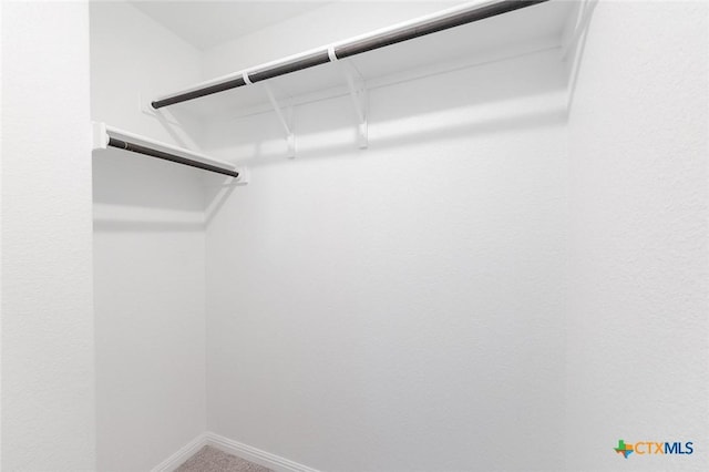 spacious closet with carpet flooring