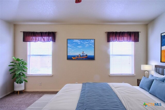 219 Starling Crk, New Braunfels, TX 78130 - carpeted bedroom featuring multiple windows and baseboards