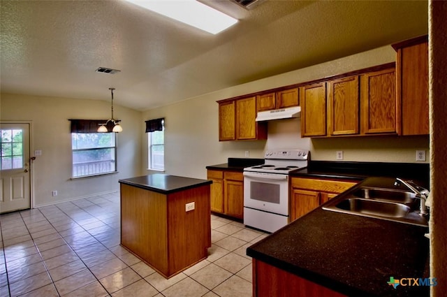 219 Starling Crk, New Braunfels, TX 78130 - kitchen with electric range, under cabinet range hood, a sink, a kitchen island, and lofted ceiling