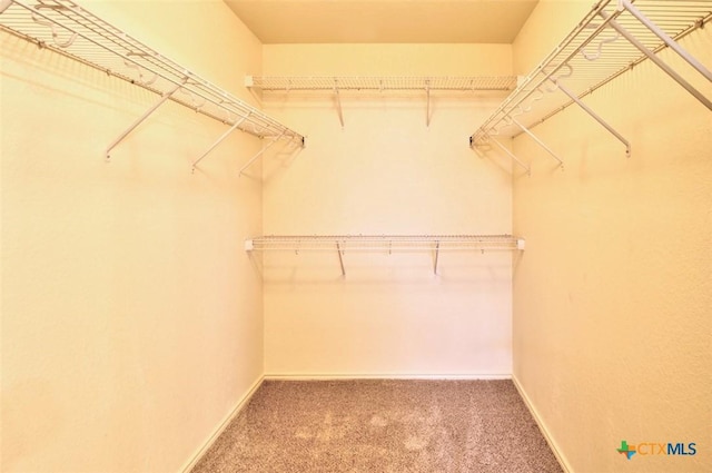 219 Starling Crk, New Braunfels, TX 78130 - spacious closet featuring carpet