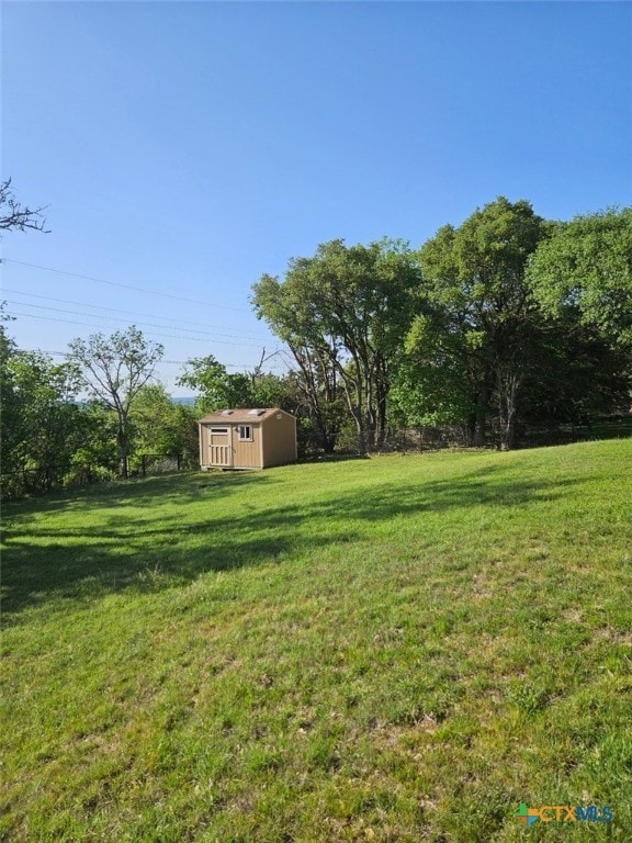 view of yard with a storage shed and an outbuilding