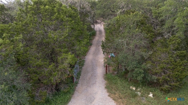 bird's eye view