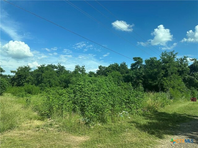 TBD County Road 287, Marlin, TX 76661 - photo 3