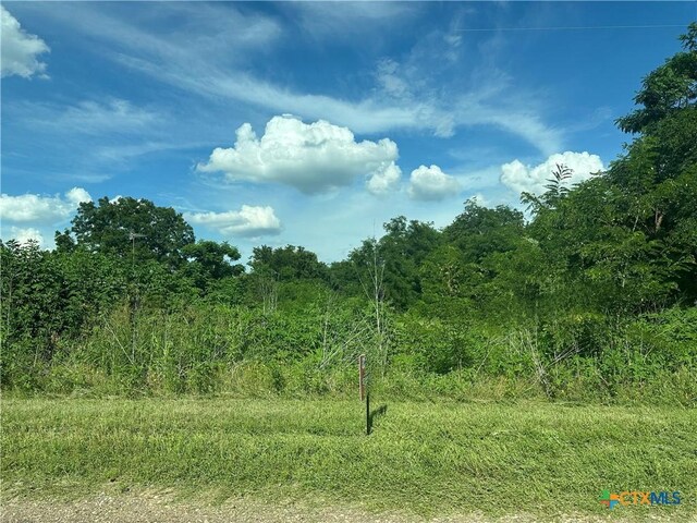 TBD County Road 287, Marlin, TX 76661 - photo 4