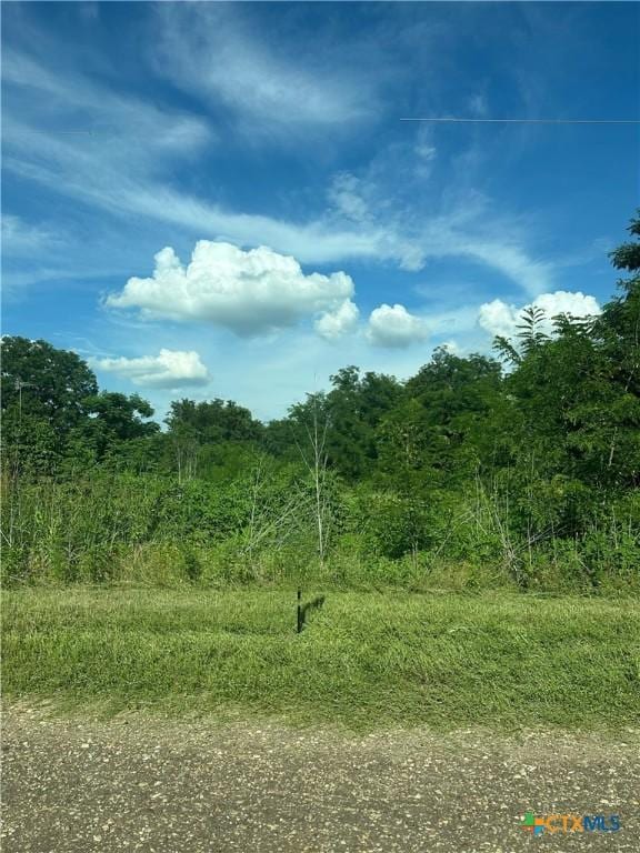 TBD County Road 287, Marlin, TX 76661 - photo 2