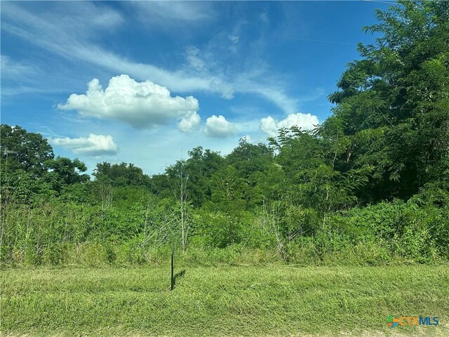 TBD County Road 287, Marlin, TX 76661 - photo 1