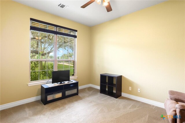 335 Mill Run, New Braunfels, TX 78132 - living area with a ceiling fan, plenty of natural light, and carpet