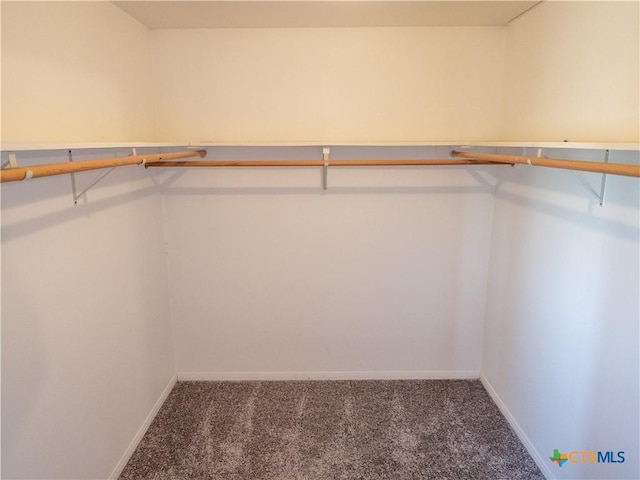 walk in closet with dark colored carpet